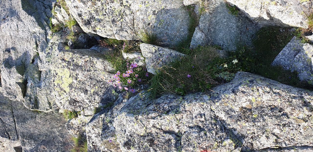 Abendstimmung am Ifinger