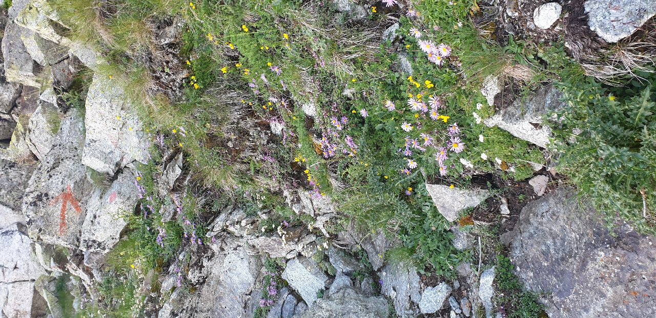 Abendstimmung am Ifinger