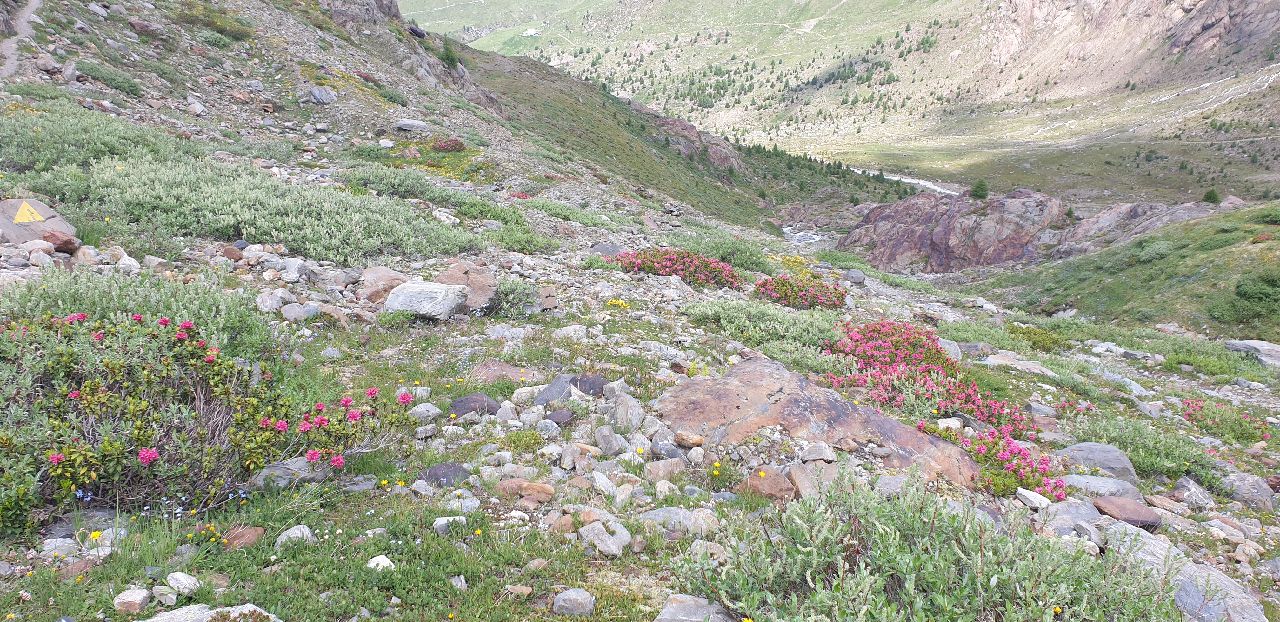 Bormio - Santa Catarina
