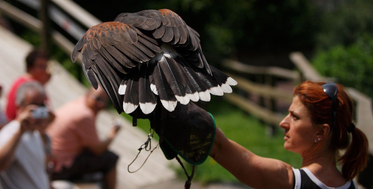 Pflegezentrum für Vogelfauna bei Schloss Tirol