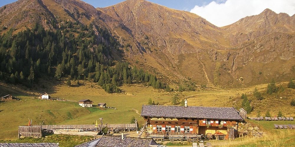 Almwanderung im Hirzergebiet