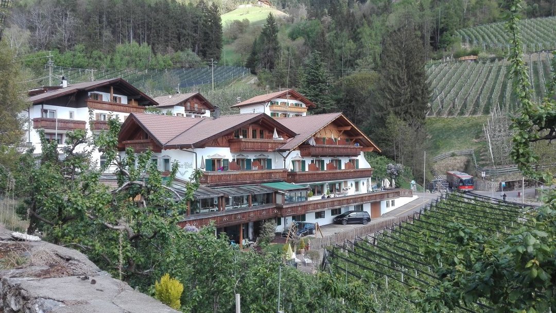 Restaurant Moserhof