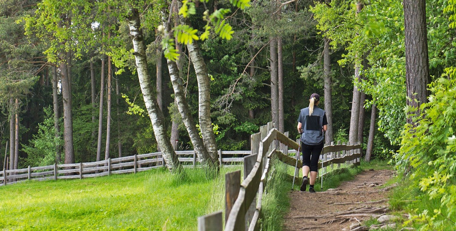 Nordic Walking