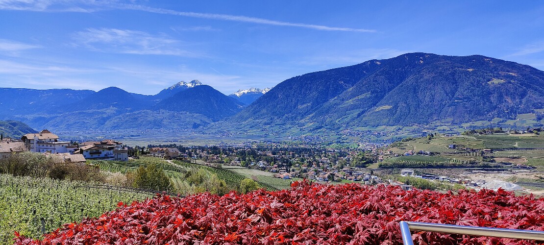 Dependance Almonia in Panoramalage