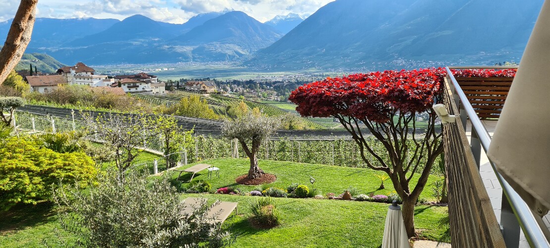 Dependance Almonia in Panoramalage